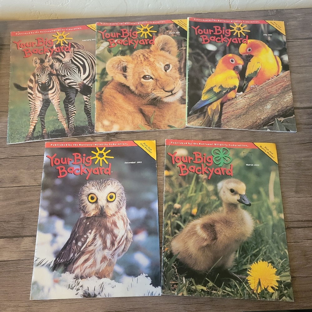 Your Big Backyard Kids Learning Magazine Collection